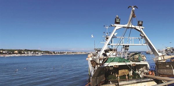 Pesca: controlli Ue; Fedagripesca: tracciamento satellitare ora obbligatorio, telecamere a  bordo solo dal 2028